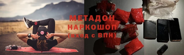 шишки Аркадак