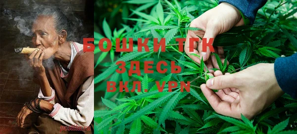 шишки Аркадак