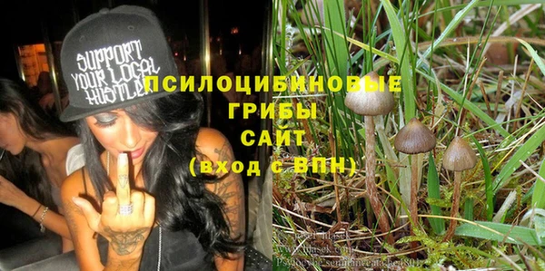 молекула духа Баксан