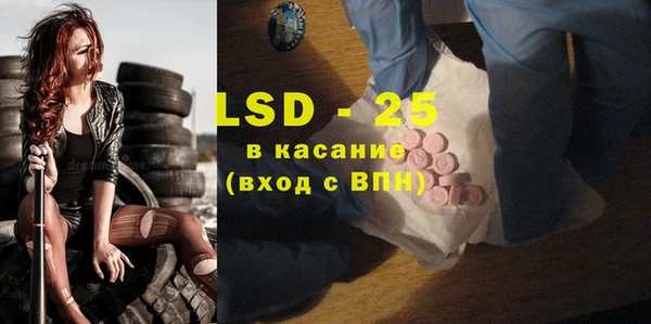 шишки Аркадак