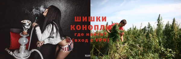 шишки Аркадак