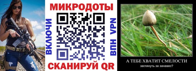 Псилоцибиновые грибы MAGIC MUSHROOMS  как найти закладки  Спасск-Дальний 